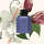 Икорный лайм, миндальное пралине, коллекция ароматов для частного банка в Монако и другие парфюмерные премьеры месяца