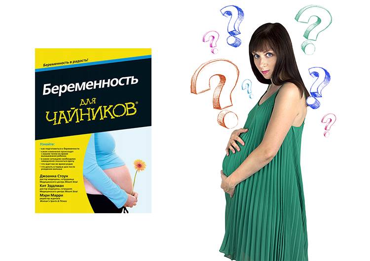 Скачать книгу беременность для чайников